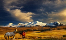 在蒙古国特雷利游牧，蒙古当地旅游团