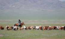 蒙古包车旅游：10个最佳景点