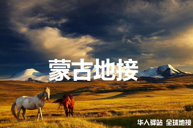 horses_mongolia-MAX-w1024h720.jpg